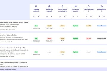 Copie d'écran du tableau de bord de l'observatoire des démarches publics en ligne.
